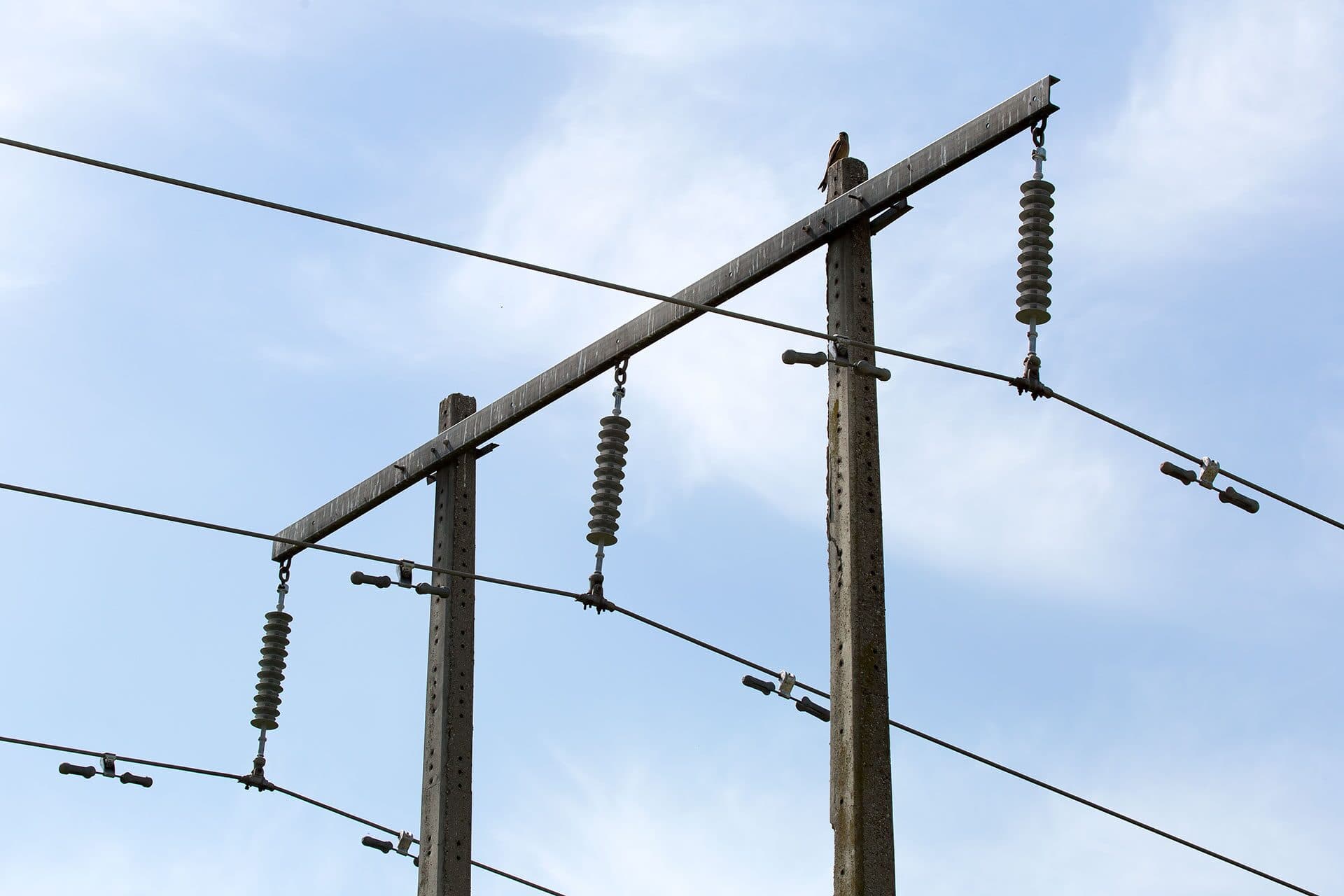 DPL insulator product